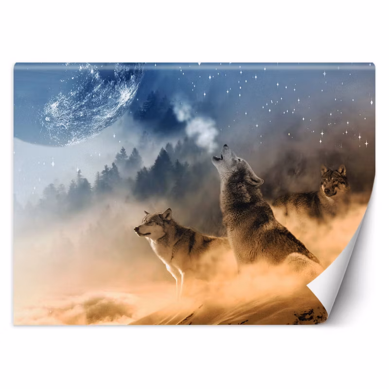 Fototapeta Feeby Wilki las we mgle 450×315 1 szt