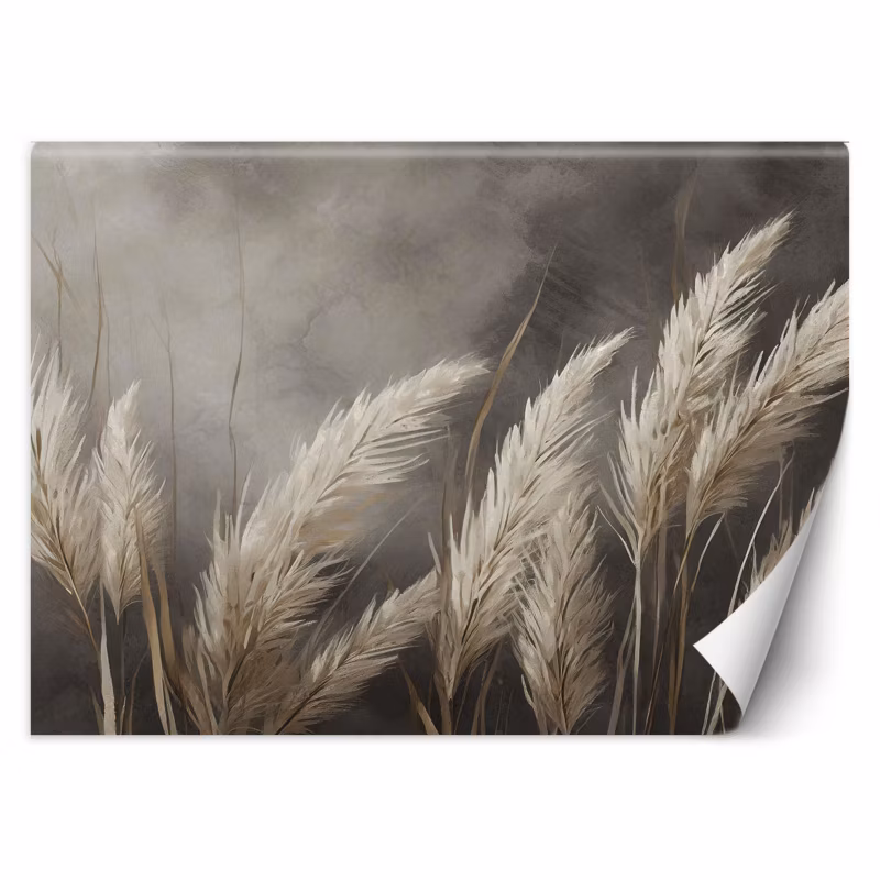 Fototapeta Feeby trawa, natura, botanika, beżowy 400×280 1 szt