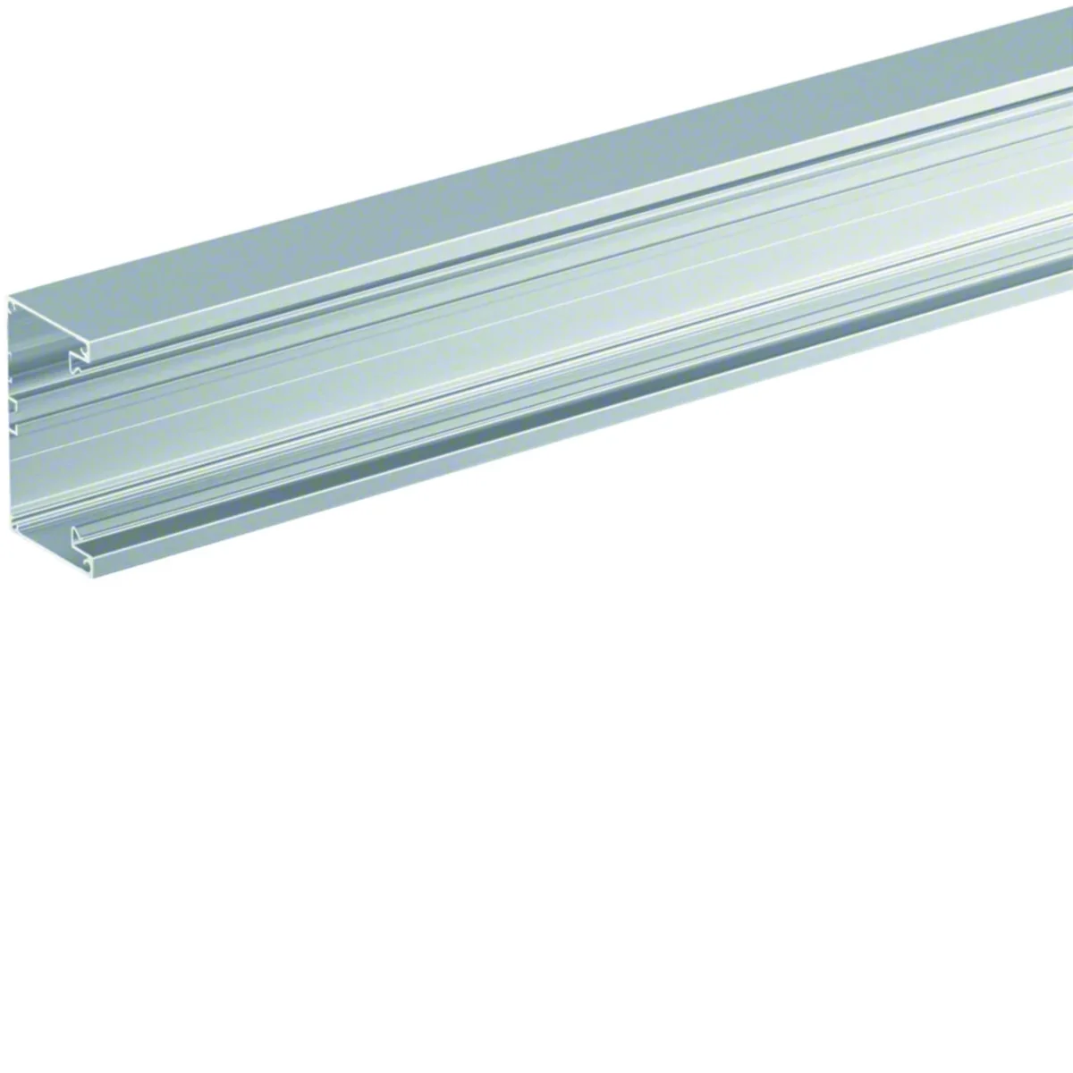 TEHALIT.BRAP Kanał podstawa 65×100 aluminium anodyzowany BRAP651001ELN