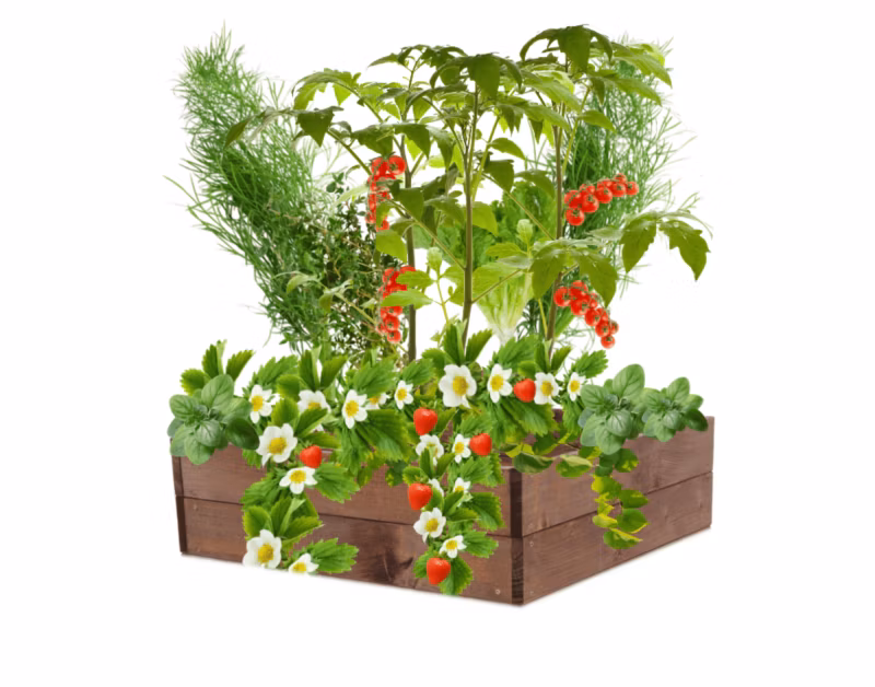 Grządka MODO24 warzywniak 18x83x60 cm brązowa impregnacja 1 szt.