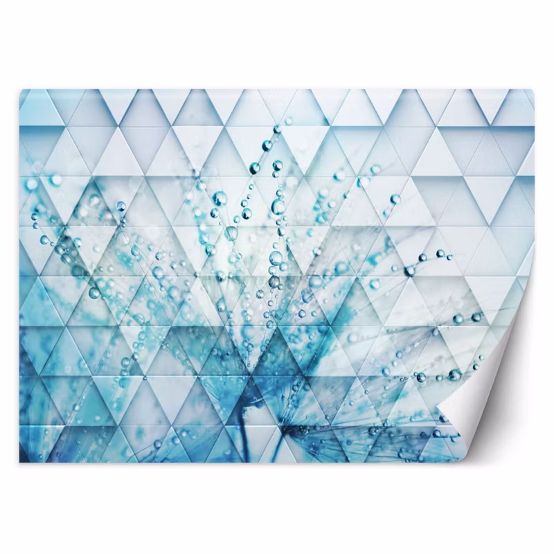Fototapeta Feeby Turkusowy dmuchawiec w kroplach rosy 150×105 1 szt