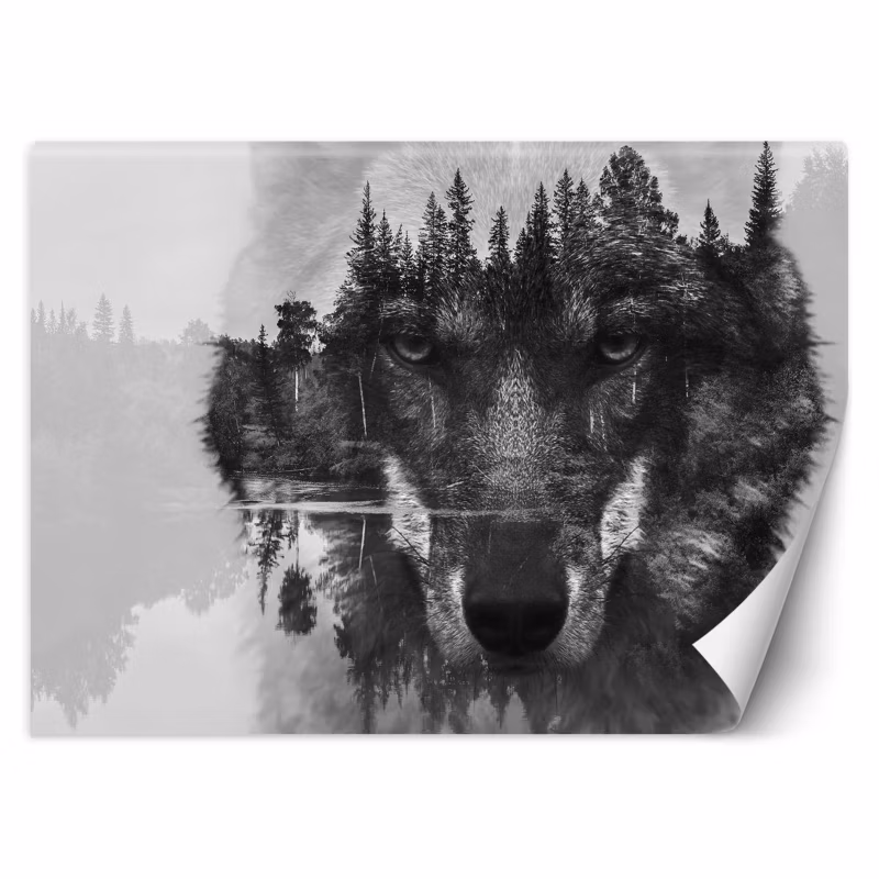 Fototapeta Feeby Wilk las we mgle 450×315 1 szt