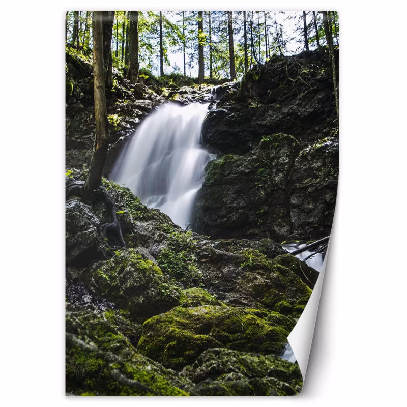 Fototapeta Feeby Wodospad w lesie 100×140 1 szt
