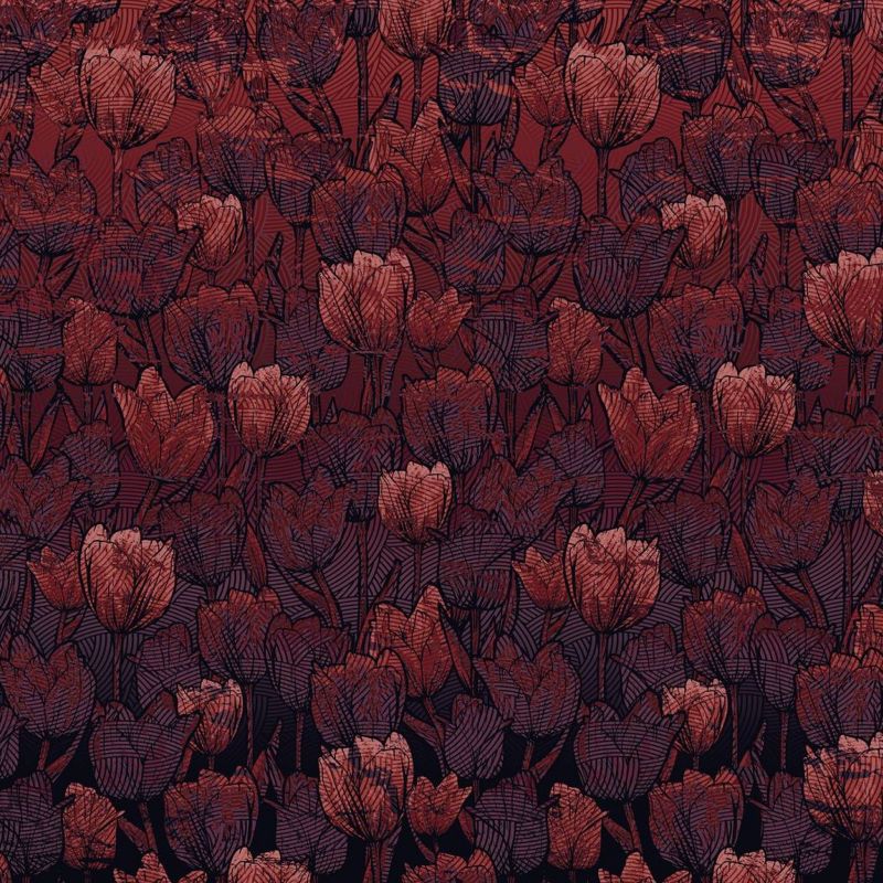 fototapeta Sanders & Sanders tulipany czerwonym 400 x 280 cm – 1 rol.