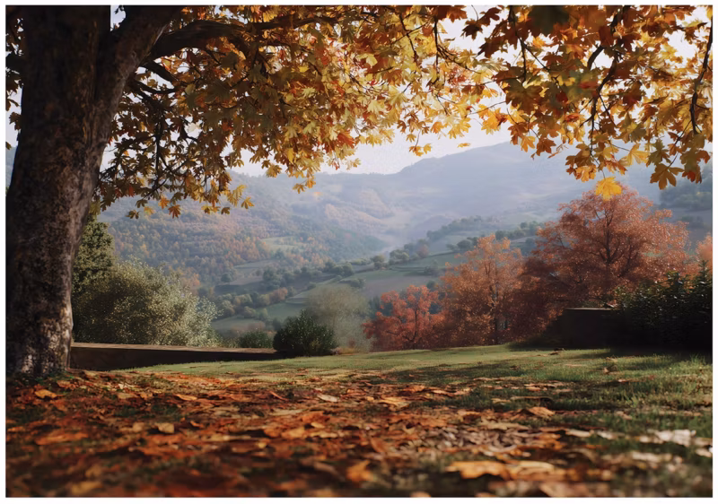 Fototapeta WALLARENA Do Sypialni Salonu Winylowa Krajobraz Natura Las Brązowy 350×250 cm 16328VX7 1 szt.