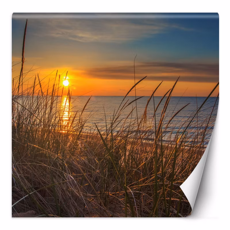 Fototapeta Feeby Zachód słońca nad morzem 100×100 1 szt