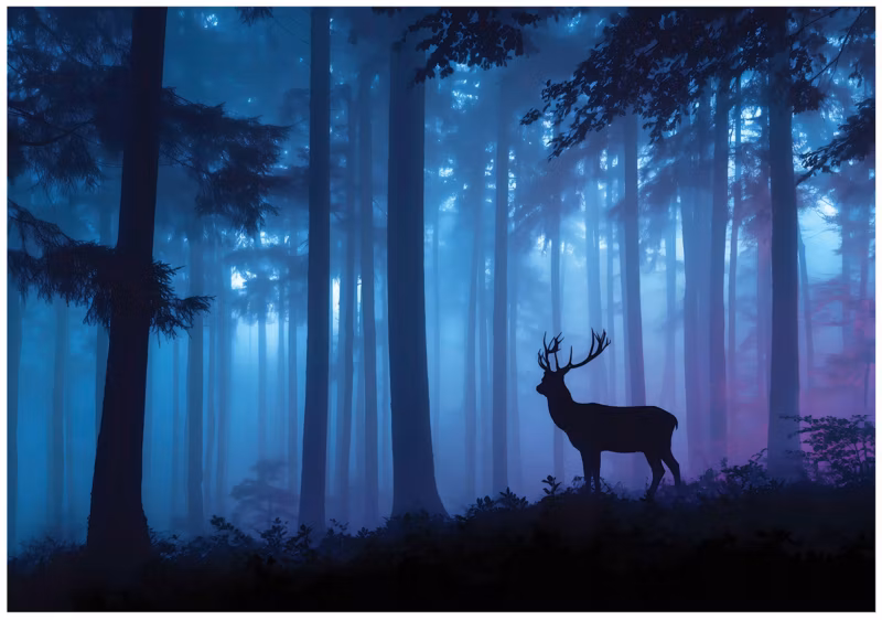 Fototapeta WALLARENA Do Sypialni Salonu Na Flizelinie Las Natura Jeleń Niebieski 300×210 cm 16457VX6 1 szt.