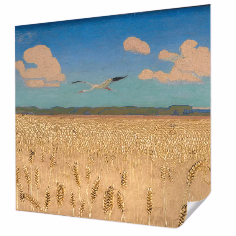 Fototapeta samoprzylepna Tulup 250×250 cm Pszeniczne pole Tapeta Do Salonu, Sypialni, Biura 1 szt.