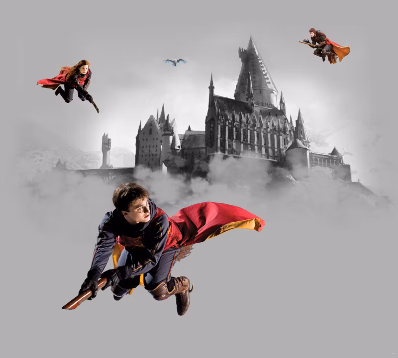 fototapeta Sanders & Sanders Harry Potter Hogwart szarymIczerwonym 270 x 300 cm – 1 rol.