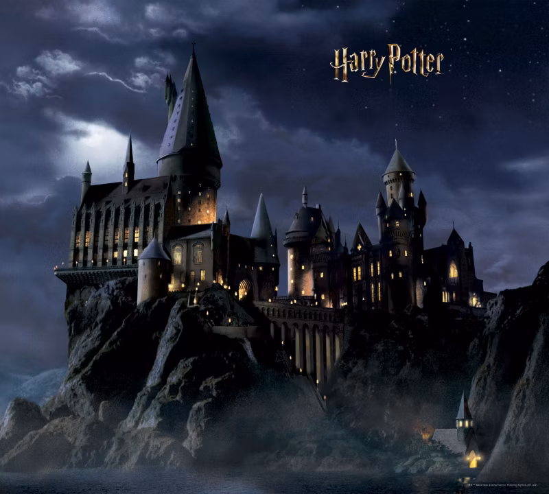 fototapeta Sanders & Sanders Harry Potter Hogwart czarnymIciemnoniebieskim 270 x 300 cm – 1 rol.