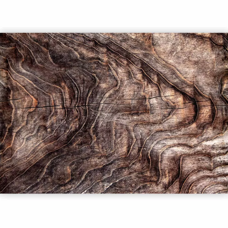 Fototapeta samoprzylepna Artgeist Tła i desenie brązowa 294×210 (6 części) 10045aa rolka 1 szt