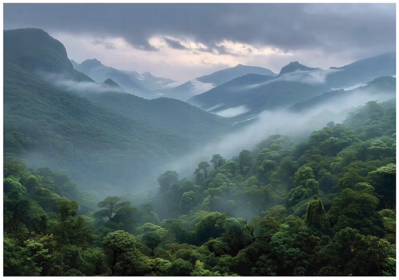 Fototapeta WALLARENA Do Sypialni Salonu Na Flizelinie Las Góry Natura 250×175 cm 1 szt.