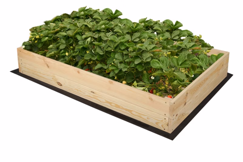 Grządka MODO24 skrzynia naturalne drewno 18x120x60 cm 1 szt.