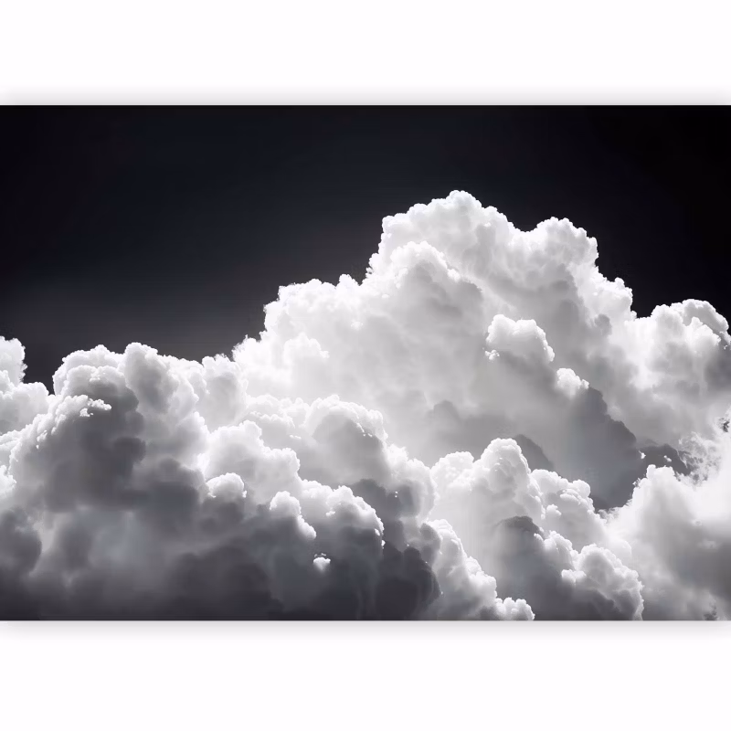 Fototapeta flizelinowa Premium Artgeist 155g/m2 Tła i desenie czarna 100×70 (2 części) 10042aa rolka 1 szt