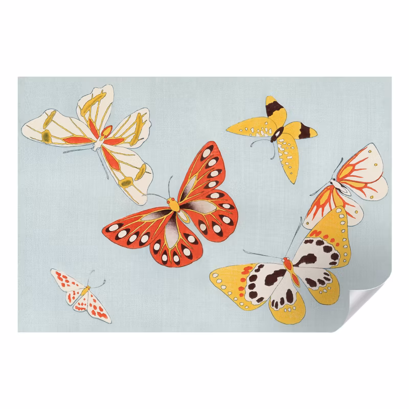 Fototapeta samoprzylepna Wallfluent 152×104 cm Motyle artystyczne Dla Miłośników Przyrody I Entomologii 1 szt.