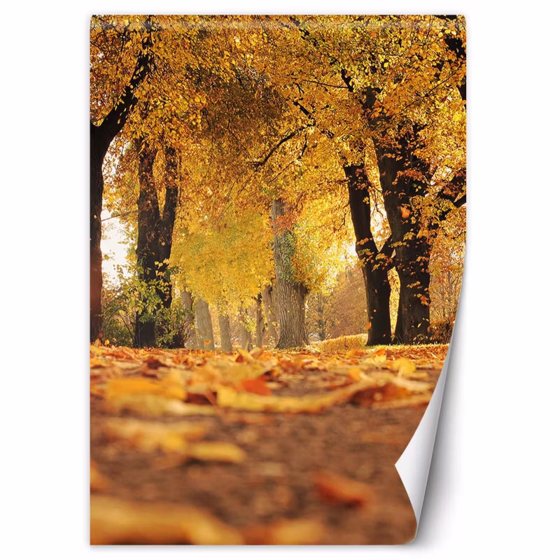 Fototapeta Feeby Złota jesień w parku 200×280 1 szt
