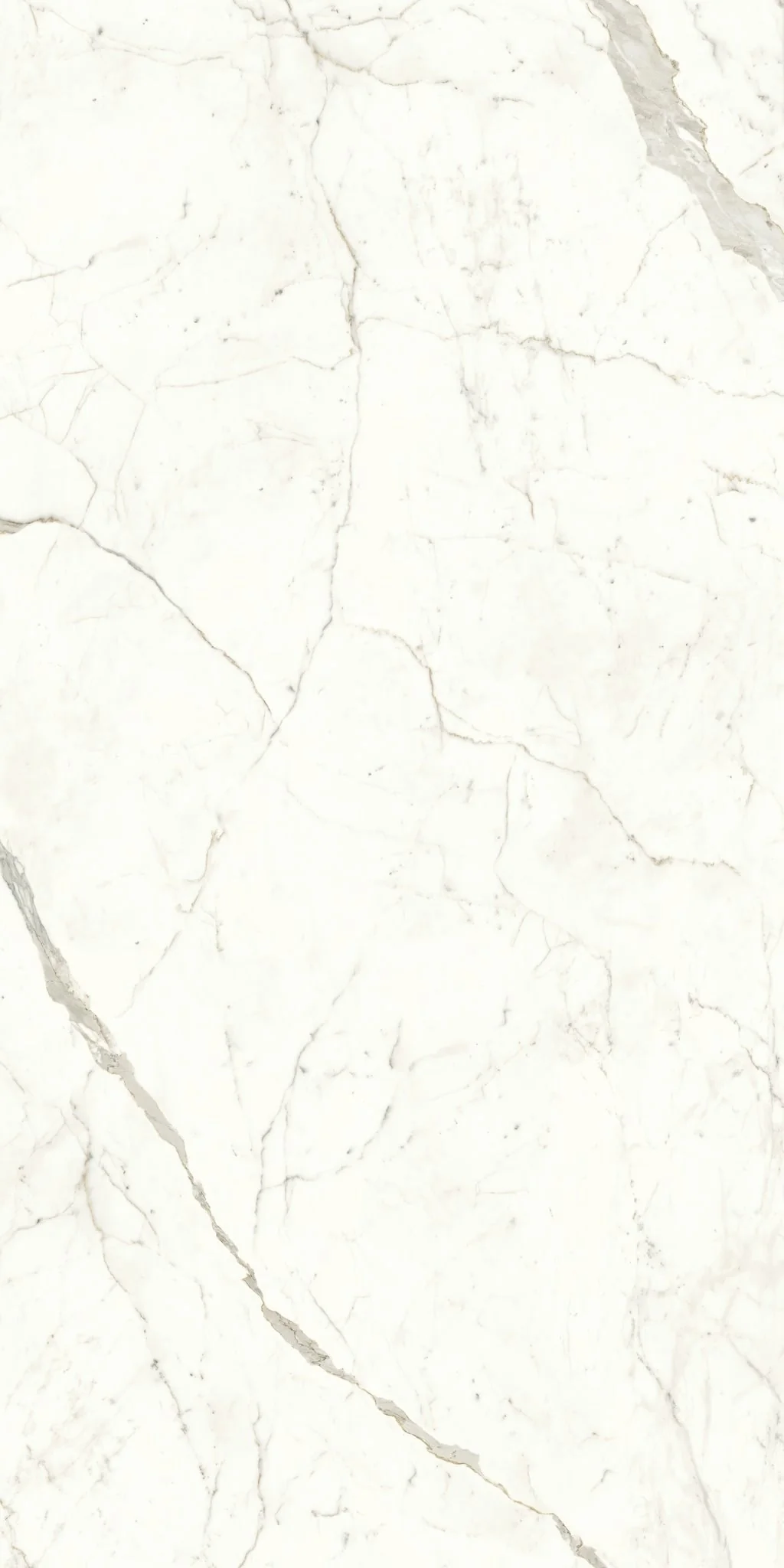 PŁYTKA CERAMICZNA AT/MVS1224CPL 240 X 120 CM OD ATLAS CONCORDE