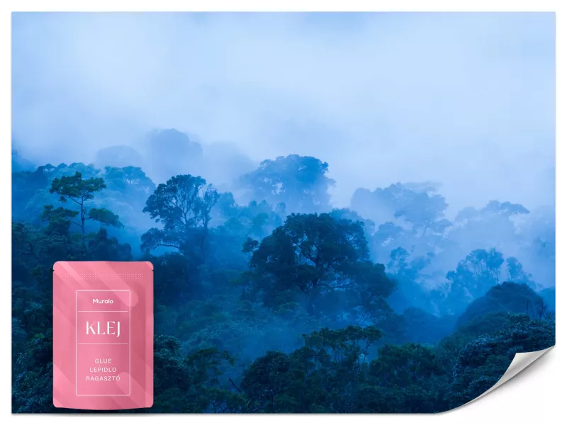 Fototapeta Muralo Las we Mgle Natura 450×315 cm 1szt.