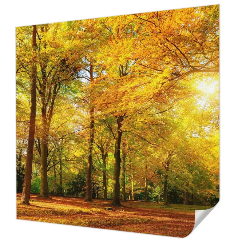 Fototapeta samoprzylepna Tulup 250×250 cm Złote liście Tapeta Do Salonu, Sypialni, Biura 1 szt.