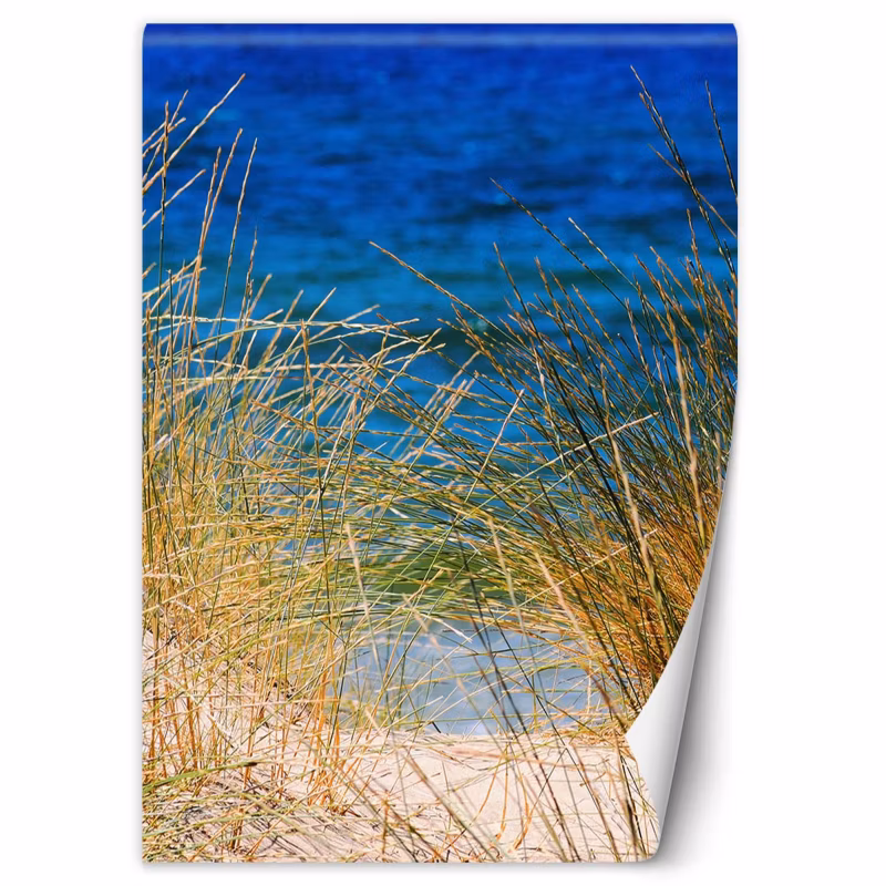 Fototapeta Feeby Wysokie trawy nad morzem 200×280 1 szt